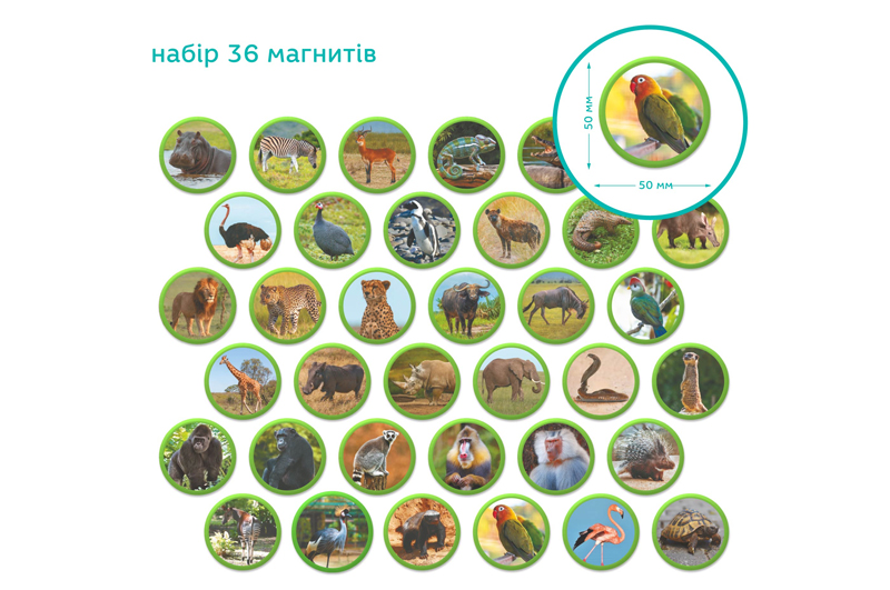 Магнітний набір 200284 "Монтесорі. Тварини на континентах: Африка" DoDo - Зображення 5