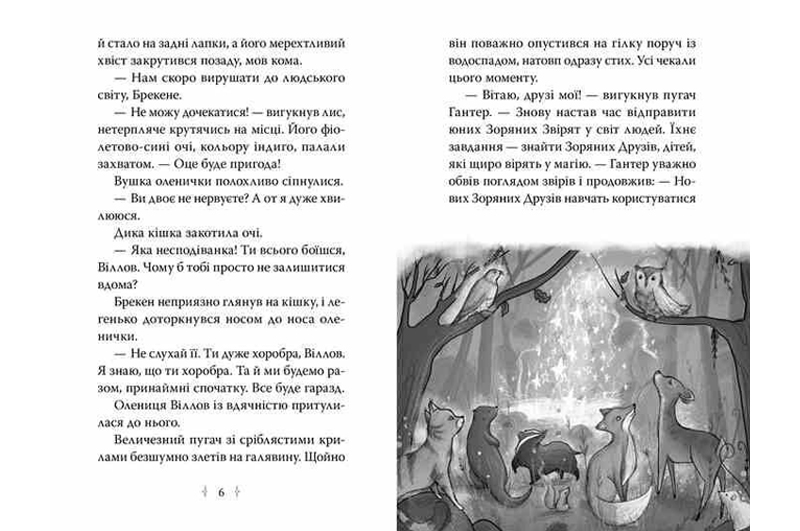Зоряні Друзі. Таємне заклинання.Книга 3 Рідна мова - Зображення 2
